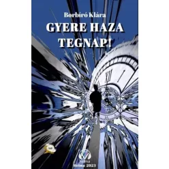 Borbíró Klára - Gyere haza tegnap! (e-könyv)