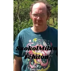 Szokol Milán - Félúton (e-könyv)