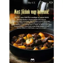 Sky S.T. - Most főzünk, vagy bulizunk? (e-könyv)
