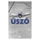 Pierre Assouline - Az úszó (e-könyv)