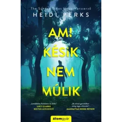 Heidi Perks - Ami késik, nem múlik (e-könyv)