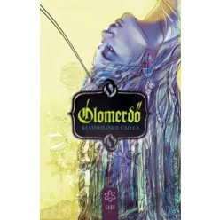 Kleinheincz Csilla - Ólomerdő (e-könyv)