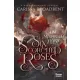 Carissa Broadbent - Six Scorched Roses – Hat megperzselt rózsa (e-könyv)