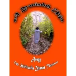 Győri Zsolt - A zarándok útja (e-könyv)