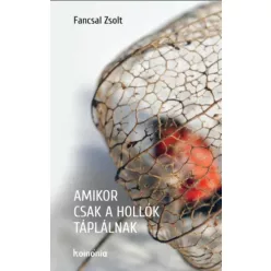 Fancsal Zsolt - Amikor csak a hollók táplálnak (e-könyv)
