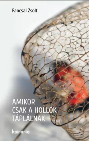 Fancsal Zsolt - Amikor csak a hollók táplálnak (e-könyv)