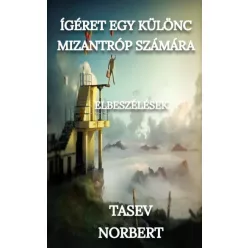  Tasev Norbert - Ígéret egy különc mizantróp számára (e-könyv)